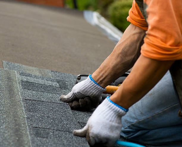 Quick and Trustworthy Emergency Roof Repair Services in Escondido, CA